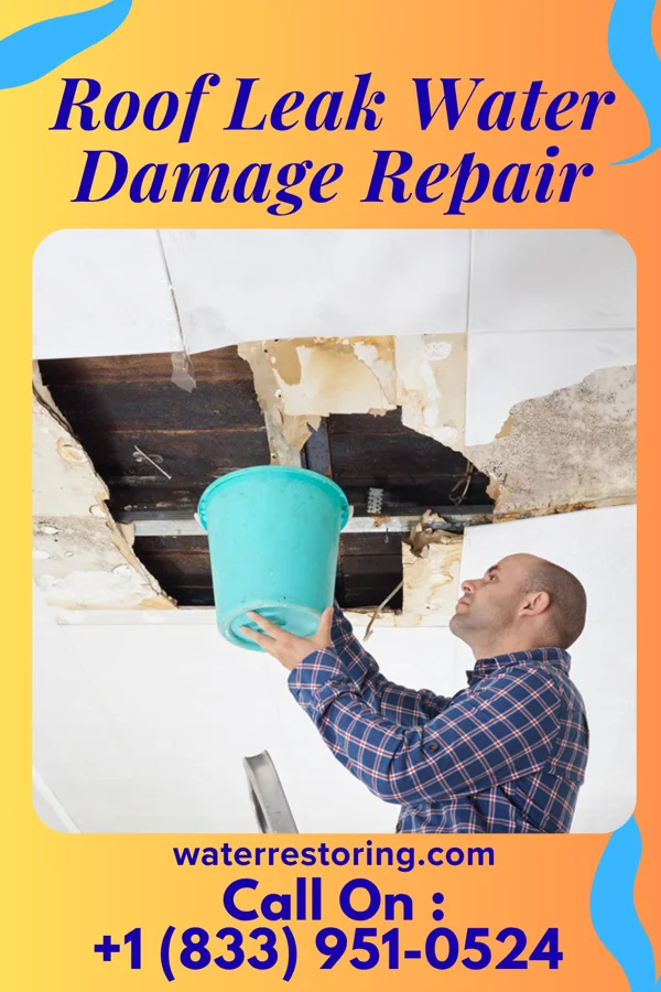 Roof Leak Water Damage Repair in Fort Smith, MT